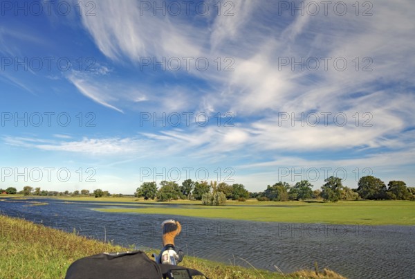 Wide riverbank under a dramatically cloudy sky with green meadows and trees in the background, Altelbarme, bicycle tourism, Elbe, Damnatz, Wendland, Lower Saxony, Germany, Europe