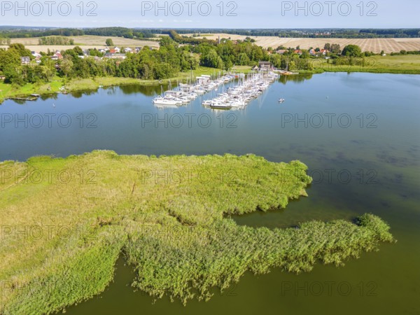 Aerial view, drone photo of the Krummin natural harbour, Krumminer Wiek on the Peene River, Usedom Island, Mecklenburg-Western Pomerania, Germany, Europe