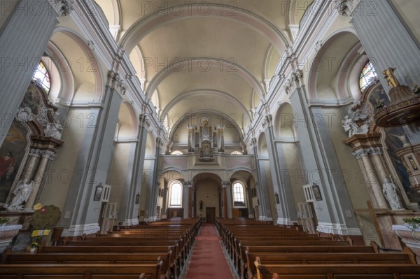 Interior with organ loft of the parish church, founded in 1307, baroqueised in the 18th century, Schärding, Lower Austria, Austria, Europe