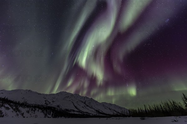 Green, yellow and purple northern lights (aurora borealis) over snowy mountains, northern lights storm, Brooks Range, Alaska, USA, North America