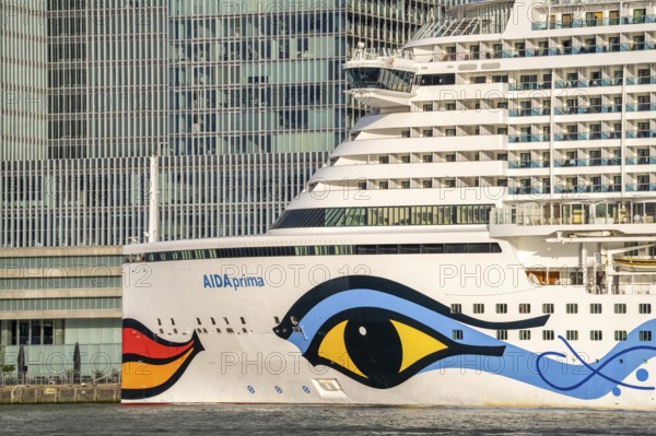 Rotterdam, skyline at the Nieuwe Maas, skyscrapers at the Kop van Zuid district, cruise ship Aida Prima at the Cruise Terminal, Netherlands