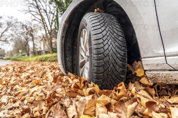 Driving on autumn leaves, slippery surfaces, leaves, grip from winter tyres