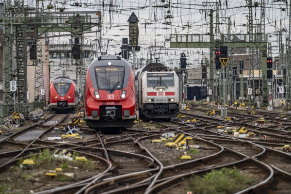 Track system in front of Cologne Central Station, regional trains, long-distance trains, Cologne, North Rhine-Westphalia, Germany, Europe