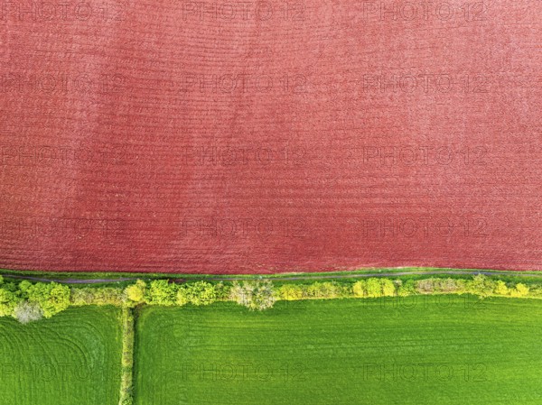 Top Down over Fields and farms from a drone, Torquay, Devon, England, United Kingdom, Europe