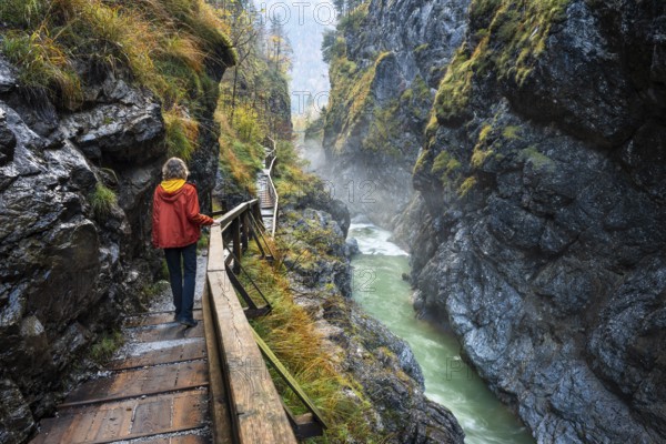 The River Lammer in the Lammerklamm gorge. A hiker on her way through the gorge. Autumn. Scheffau, Lammertal, Salzburger Land, Upper Austria, Austria, Europe