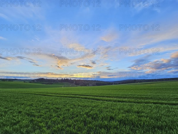 Wide green field under a blue sky with clouds during sunset, Mönchberg, Mltenberg, Spessart, Bavaria, Germany, Europe
