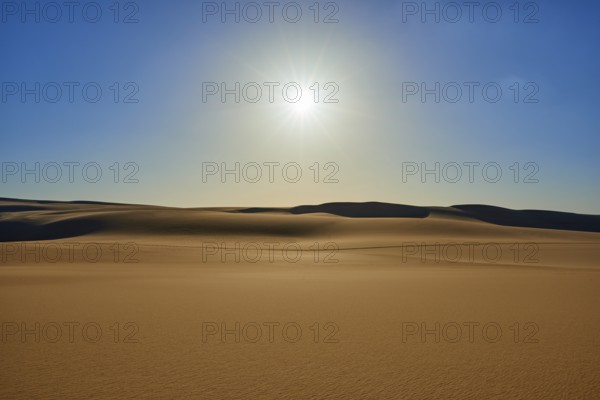 The endless expanse of a desert with golden sand dunes under a bright blue sky and the glistening sun, Matruh, Great Sand Sea, Libyan Desert, Sahara, Egypt, North Africa, Africa