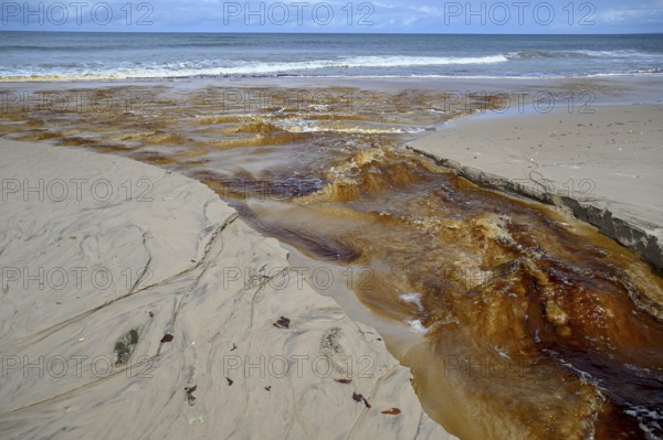 Tannic water from the Congo Basin flows into the sea, Petit Loango, Loango National Park, Parc National de Loango, Ogooué-Maritime Province, Gabon, Africa