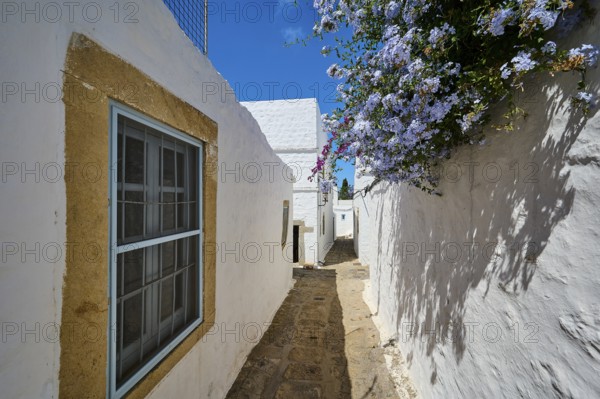 Narrow street with white walls, a window and blooming flowers under a blue sky, Chora, main town of Patmos, Patmos, Old Town, Dodecanese, Greek Islands, Greece, Europe