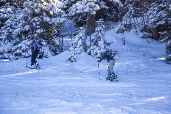 Oberjoch, Bavaria: Ski tourers on the ascent. Ski touring is becoming increasingly popular