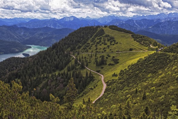 Panoramic view from the Herzogstand of wooded mountains and a winding hiking trail, with Lake Walchensee in the background, Kochel am See, Bavaria, Germany, Europe