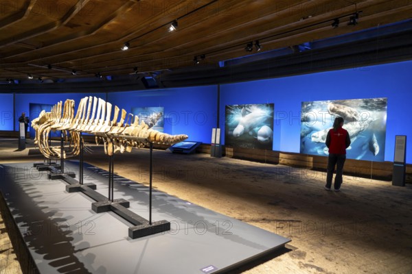 Plante Ozean exhibition in the Gasometer in Oberhausen, the world's oceans in their fragile beauty are the focus of the new exhibition, large-format photos, exhibits including a whale skeleton and an immersive large-scale video and sound installation, The Wave, on a 40 metre high screen measuring over 1000 square metres in total can be seen, Oberhausen, Germany, Europe