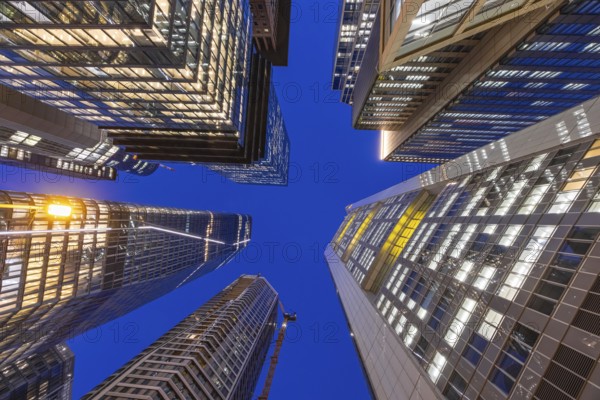 The lights in the offices of Frankfurt's banking skyline glow in the evening. Frankfurt am Main, Hesse, Germany, Europe