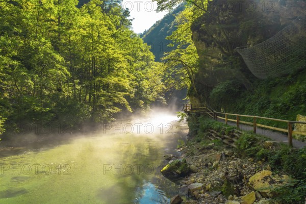 Beams of sunlight shining through morning mist over the clear green waters of radovna river flowing through the vintgar gorge near bled, slovenia