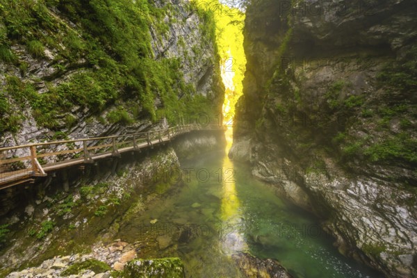 Sunlight illuminates moss covered cliffs and clear water flowing through vintgar gorge near bled, slovenia