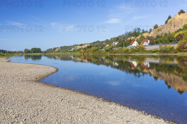 On the Elbe near Meißen opposite Karpfenschänke, Meißen, Saxon Elbland, Saxony, Germany, Europe