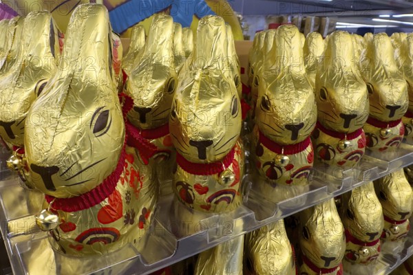 Display on retail shelf of wholesale chocolate Easter bunnies chocolate Easter bunnies chocolate Easter bunnies wrapped in gold-coloured tin foil, Germany, Europe