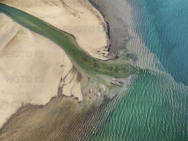 Aerial photograph, top down view of the Radolfzell Aach estuary with current lines, structures, patterns, sediments, Radolfzell on Lake Constance, Untersee, district of Constance, Baden-Württemberg, Germany, Europe