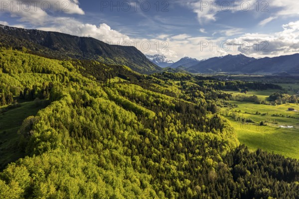Aerial view of a mountain forest in front of mountains in spring, sunny, Ohlstadt, view of Zugspitze, Alpine foothills, Upper Bavaria, Bavaria, Germany, Europe