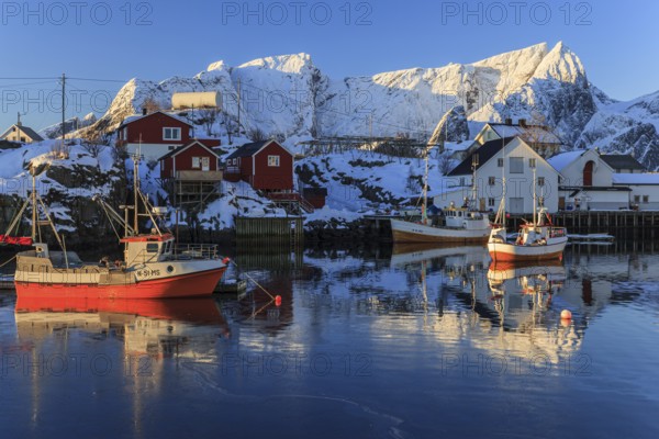 Fishing boats in fjord in front of snowy mountains, morning light, winter, Reine, Moskenesoya, Lofoten, Norway, Europe