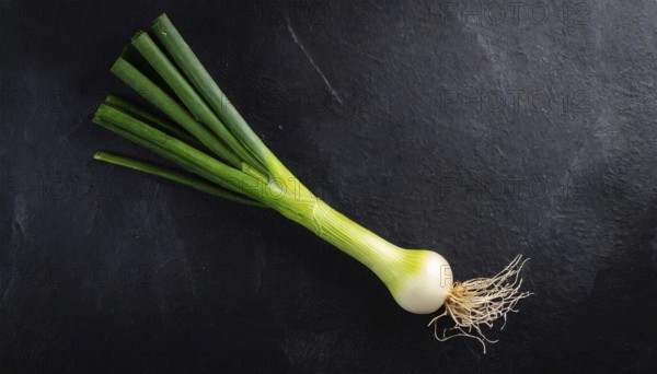 Vegetable, spring onion or spring onion, also known as winter onion, Allium fistulosum