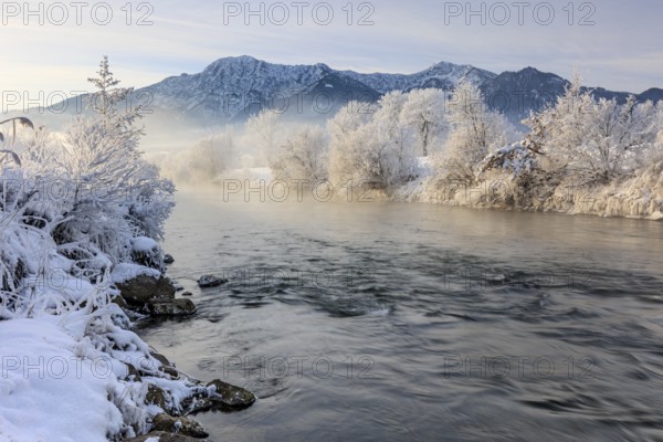 River and trees in hoarfrost in front of mountains, winter, Loisach, view of Herzogstand and Heimgarten, Alpine foothills, Upper Bavaria, Bavaria, Germany, Europe
