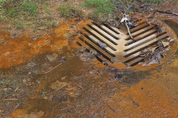 Contaminated rust colored water draining into sewer system at edge of a grass lawn in spring, Quebec, Canada, North America