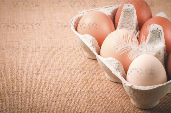Fresh eggs, in cardboard containers, carriage, brown