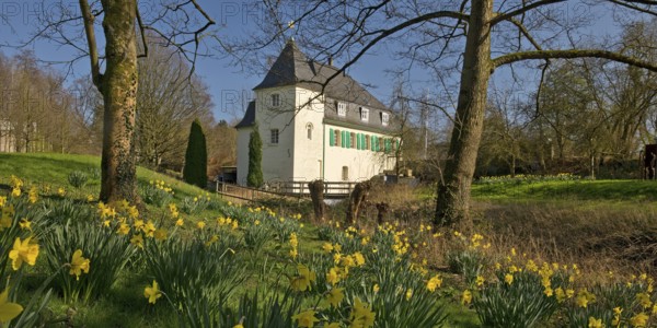 Goldberg Mill in spring, historical sight, Mettmann, Bergisches Land, North Rhine-Westphalia, Germany, Europe
