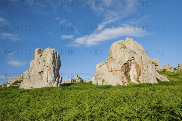 Striking boulders surrounded by ferns on the Pink Granite Coast in Brittany, France, Europe