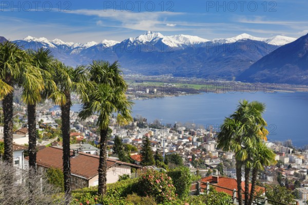 View over the city of Locarno and Lake Maggiore with snow-capped mountains in the background, Canton Ticino, Switzerland, Europe