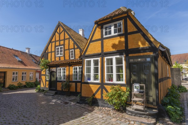 Fåborg, Faaborg, picturesque old town with colourful houses, half-timbered houses, plants, gabled houses, cobblestones, Fyn, island of Funen, south coast, Danish South Sea, Denmark, Europe