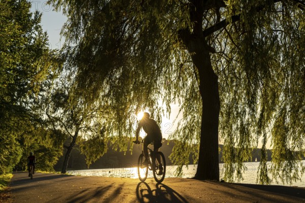 Cycling on Lake Baldeney, around 14 kilometres around the Ruhr reservoir, summer evening on the eastern shore, Essen, North Rhine-Westphalia, Germany, Europe