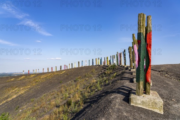 The Haniel spoil tip, 185 metre high spoil tip at the Prosper Haniel mine, which was closed in 2019, artwork Totems by the sculptor Augustin Ibarrola, Bottrop, Germany, Europe