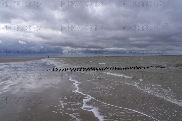 North Sea island Spiekeroog, East Frisia, Lower Saxony, Germany, beach at low tide on the west coast, winter, groynes, coastal protection, in the background the East Frisian mainland coast, west of Neuharlingersiel, Europe