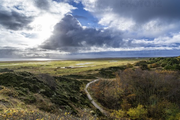 North Sea island of Spiekeroog, East Frisia, Lower Saxony, Germany, marshes, salt marshes, landscape on the south coast to the Wadden Sea, Europe
