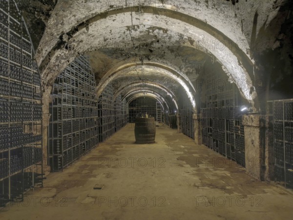 Wine cellar in Eberbach Abbey, Erbach Abbey, former Cistercian abbey near Eltville am Rhein, Hesse, Germany, Europe