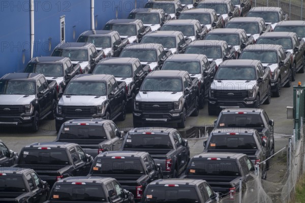 Ford FX4 pickup trucks on stockpile, in the overseas harbour of Bremerhaven, after import from the USA in Germany, Lower Saxony, Germany, Europe