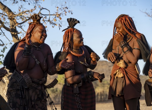 Traditional Himba woman clapping and laughing, music and dance, portraits, in the evening light, near Opuwo, Kaokoveld, Kunene, Namibia, Africa