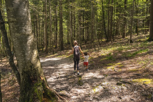 Mother and son enjoying a hike through the picturesque forest trail of logarska dolina valley in slovenia, surrounded by lush nature
