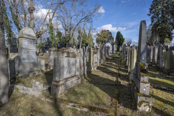 Old graves at the Israeli cemetery, inaugurated in 1882, Werner-von Siemens Str. 2, Würzburg, Lower Franconia, Bavaria, Germany, Europe