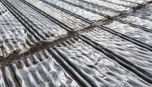 Asparagus fields covered with foil, Beelitz, 26/03/2024