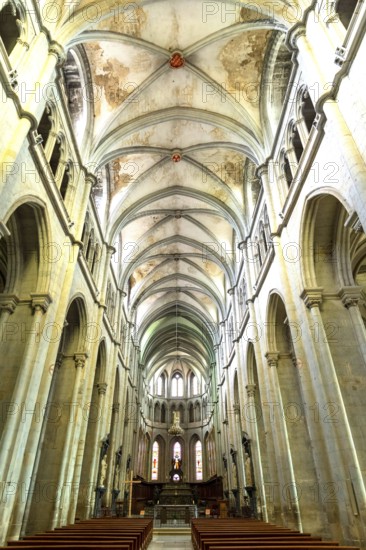 Saint-Antoine l'Abbaye labeled Les Plus Beaux Villages de France. Interior of the Abbey Church built from the 12th to the 15th century. Isere. Auvergne-Rhone-Alpes. France