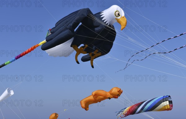 Kite festival, flying kites on Schönberg beach, Schleswig-Holstein, Germany, Europe
