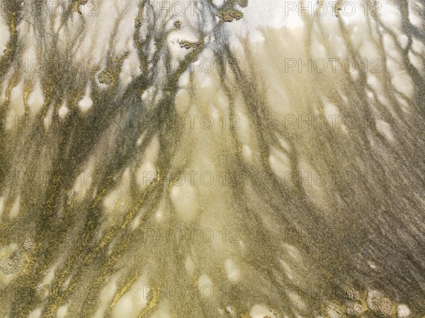Marshland at low tide. Nature Reserve La Breña y Marismas del Barbate. Aerial view. Drone shot. Cádiz province, Andalusia, Spain, Europe