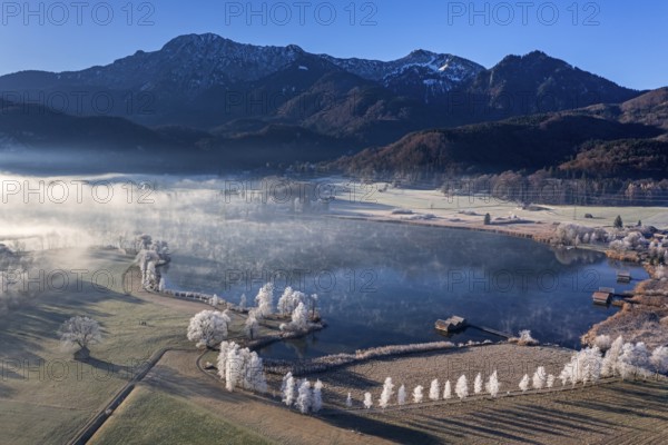 Aerial view of a lake in front of mountains in winter, hoarfrost, morning light, view of Herzogstand and Heimgarten, Lake Kochel, foothills of the Alps, Bavaria, Germany, Europe