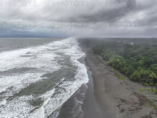 Aerial view, beach and sea, coast with rainforest, Tortuguero National Park, Costa Rica, Central America