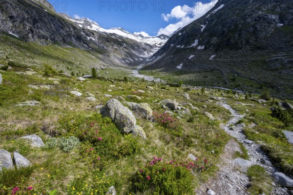Hiking trail in picturesque mountain landscape, behind mountain peak with snow and glacier Hornkees, valley with Hornkeesbach, Berliner Höhenweg, Zillertal Alps, Tyrol, Austria, Europe