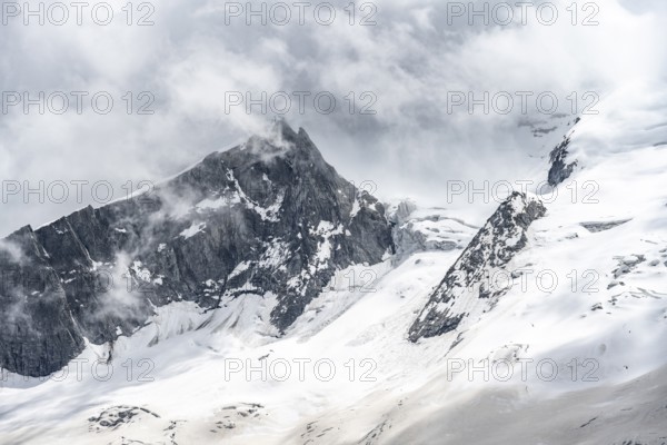 Mountain landscape of rock and ice, rocky peak between glacial ice on the Waxeggkees glacier, Berliner Höhenweg, Zillertal Alps, Tyrol, Austria, Europe