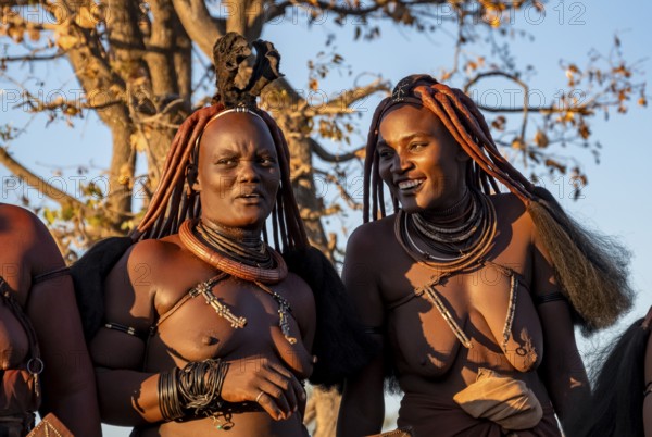 Two traditional Himba woman, laughing, portraits, in the evening light, near Opuwo, Kaokoveld, Kunene, Namibia, Africa